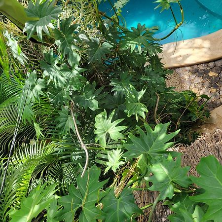 The Secret Garden Tulum Apartamento Exterior foto