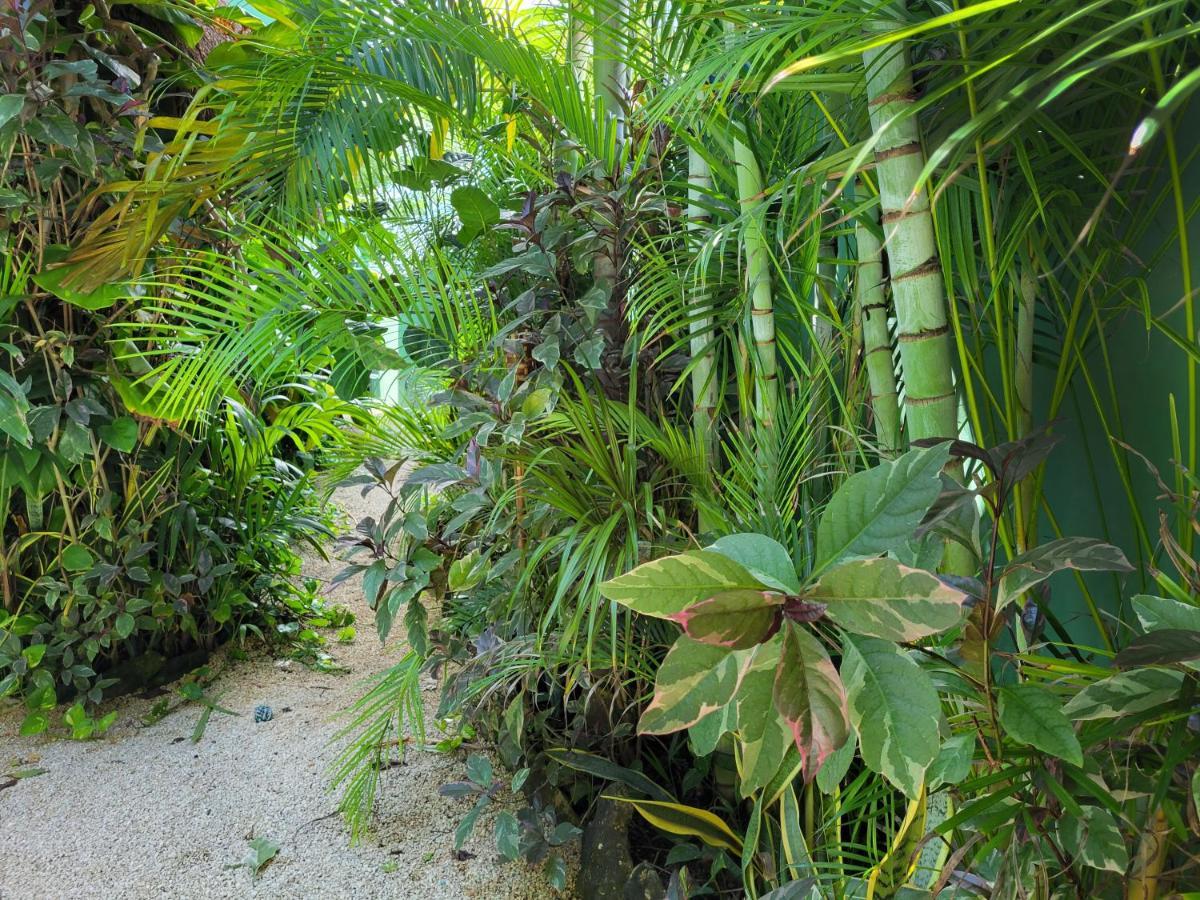The Secret Garden Tulum Apartamento Exterior foto