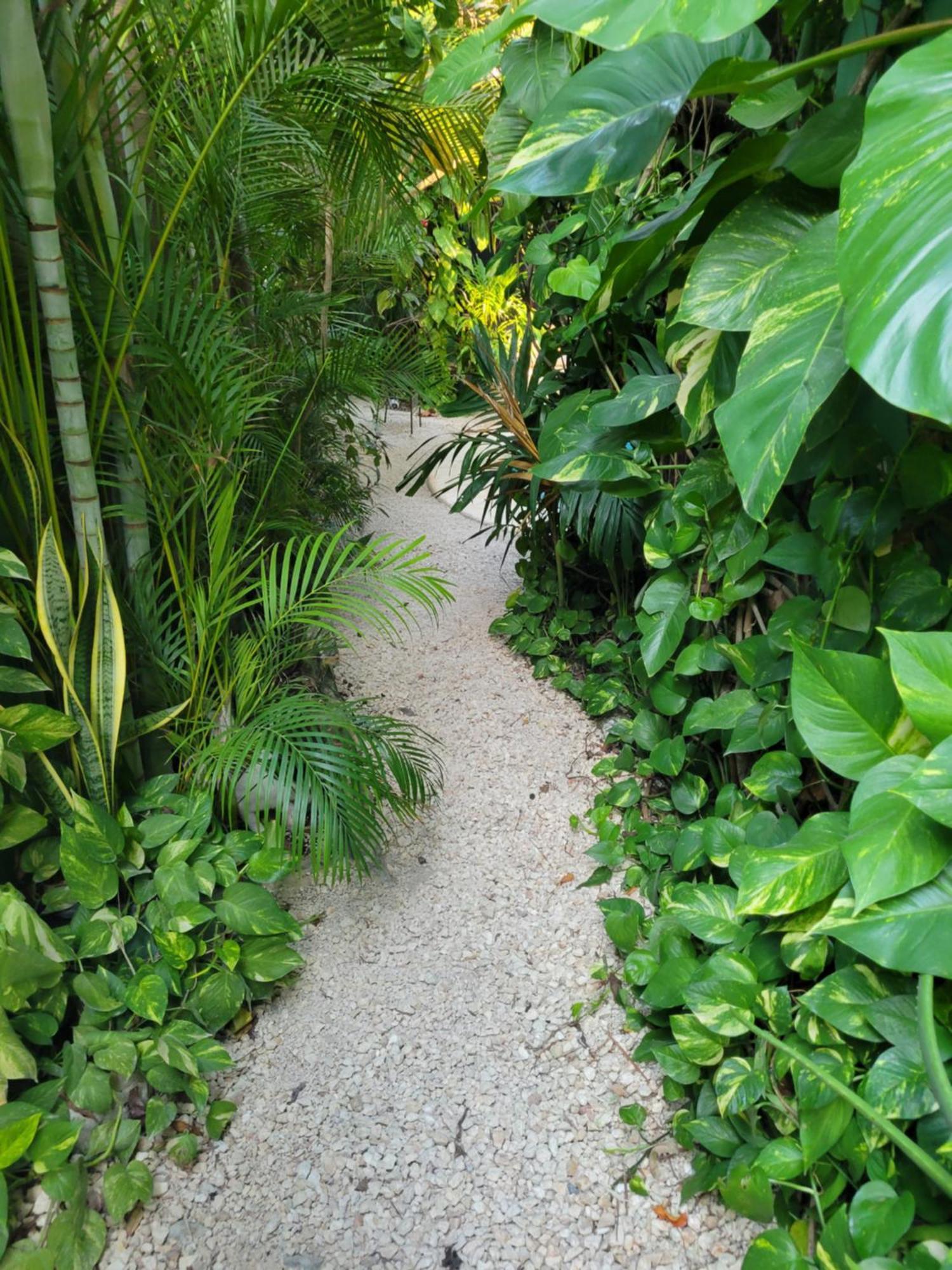 The Secret Garden Tulum Apartamento Exterior foto
