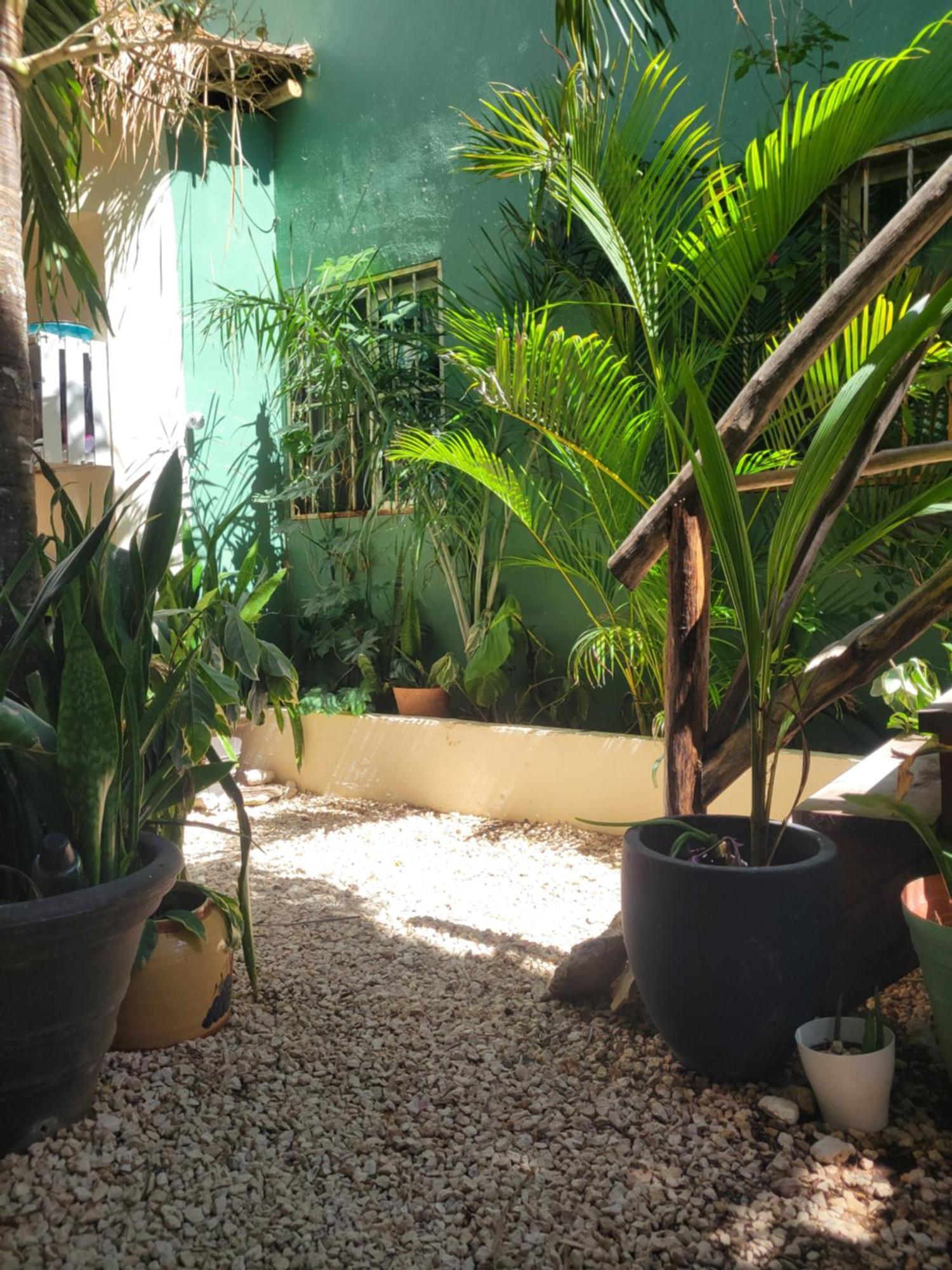 The Secret Garden Tulum Apartamento Exterior foto