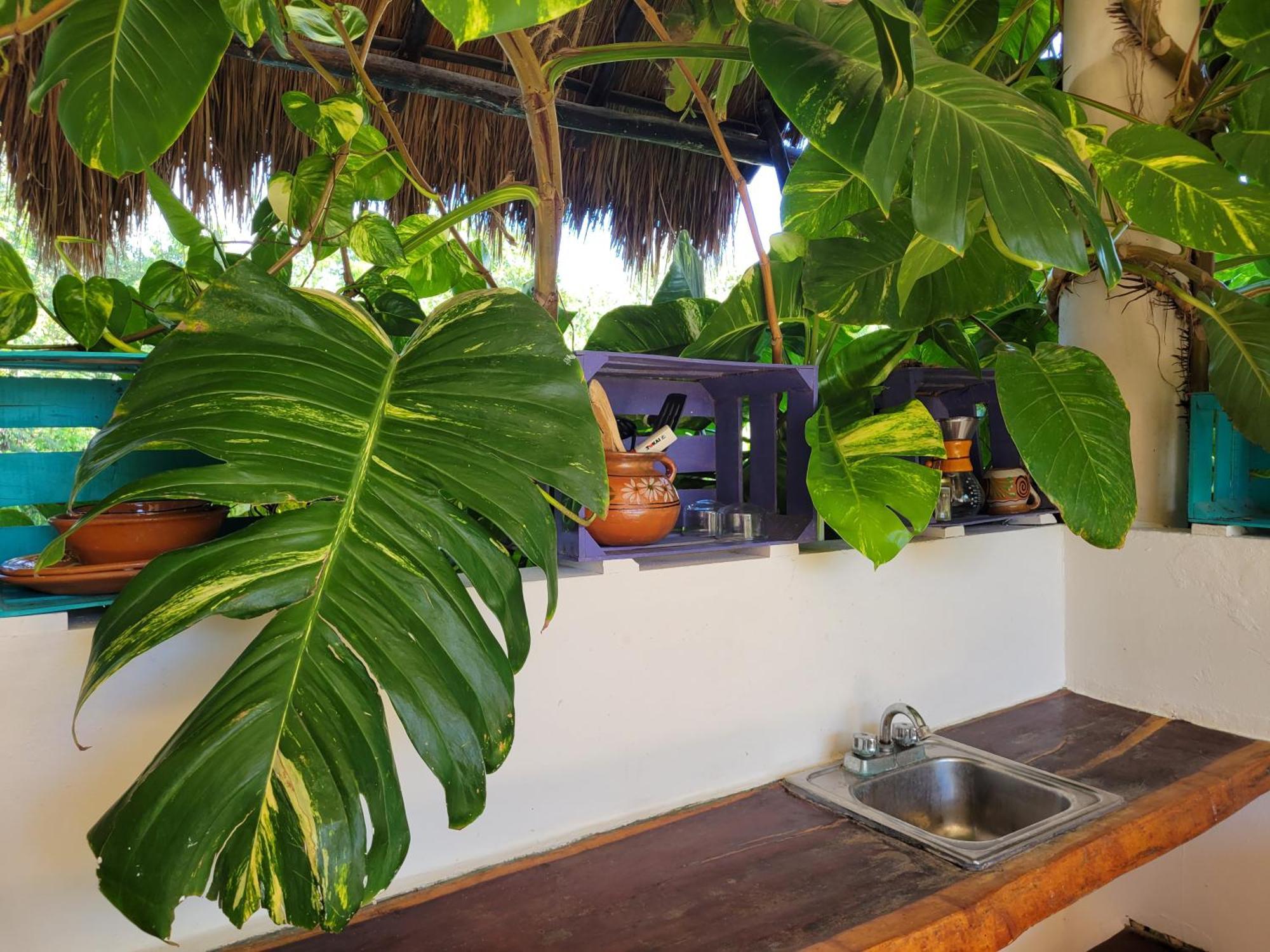 The Secret Garden Tulum Apartamento Exterior foto