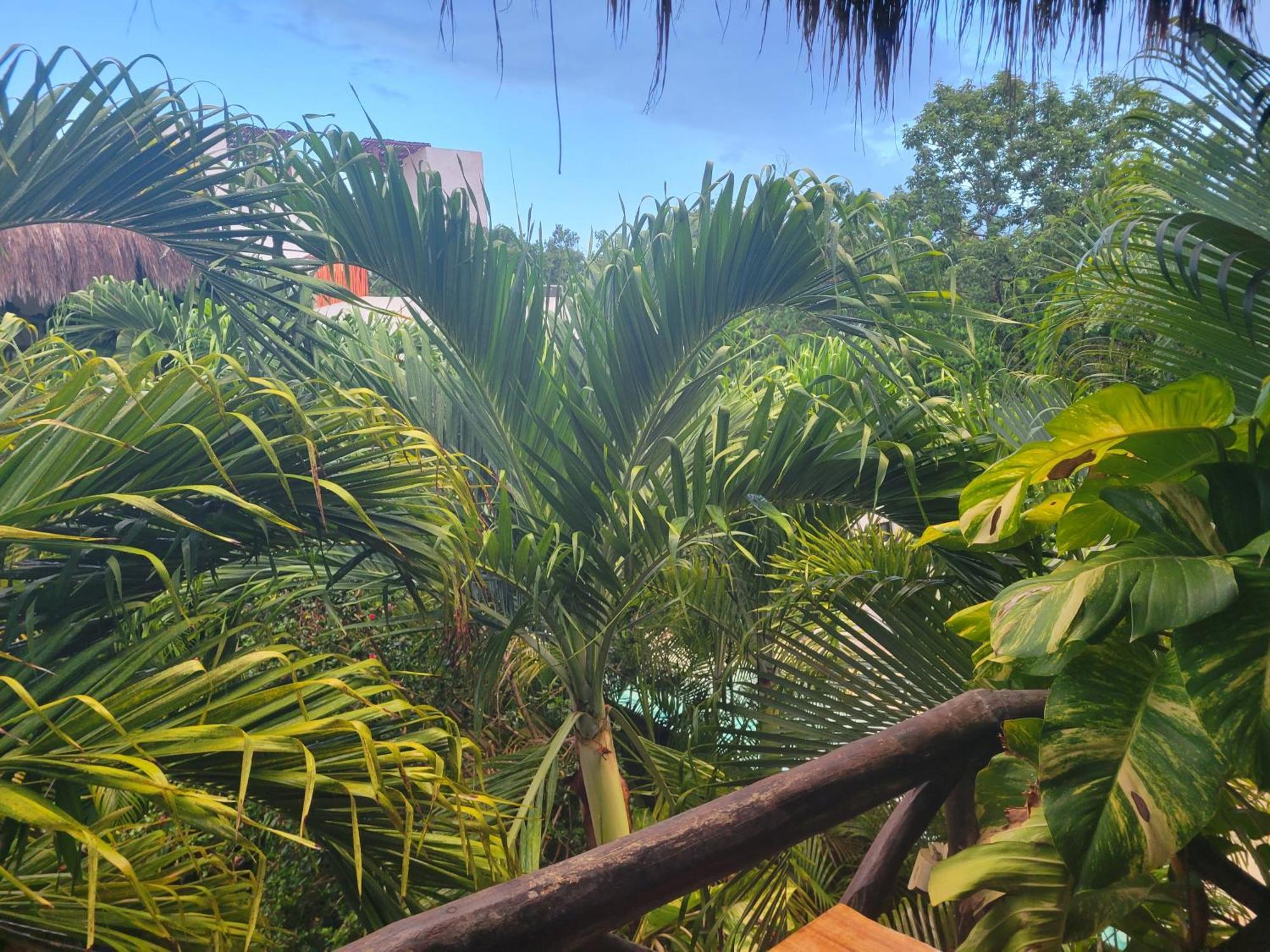The Secret Garden Tulum Apartamento Exterior foto